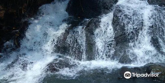 Aruvikuzhy Waterfalls