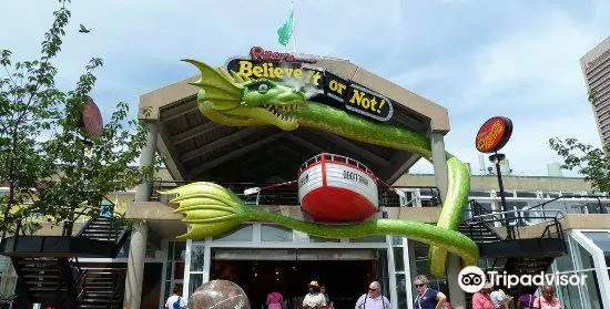 Ripley's Believe It or Not!