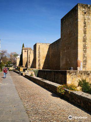 Fundación Mezquita de Sevilla