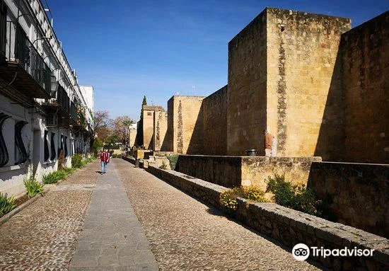 1_Sevilla Mosque Foundation