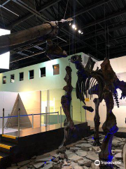 Museum of Paleontology Guadalajara