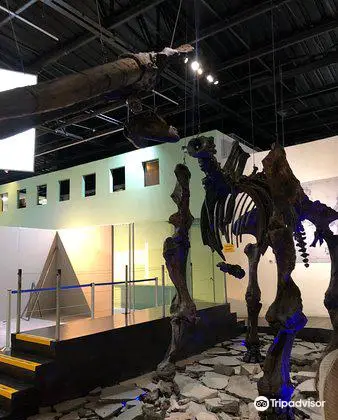 Museum of Paleontology Guadalajara