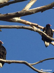 Carpinteria Bluffs Nature Preserve