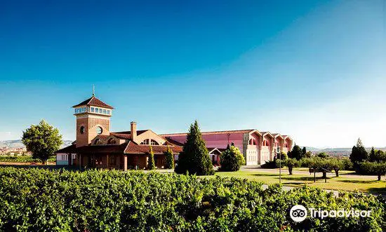 Bodegas Viña Ijalba