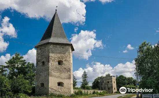 Kryvche Castle