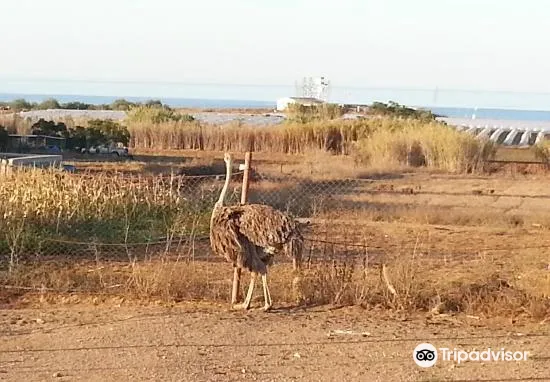 3_Famagusta Viewpoint