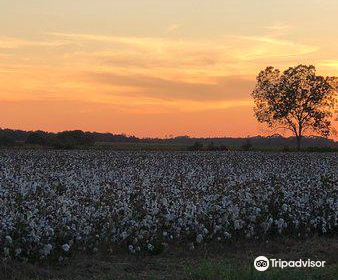 Holland Farms