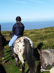 Exmoor Experience