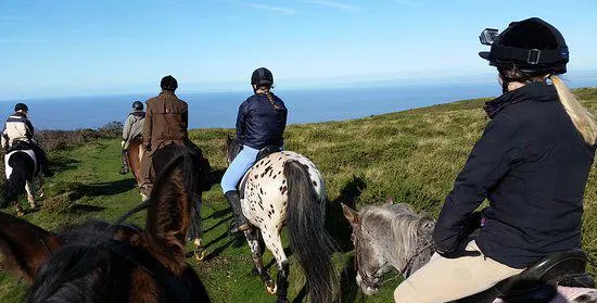 Exmoor Experience