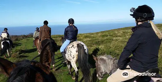 Exmoor Experience