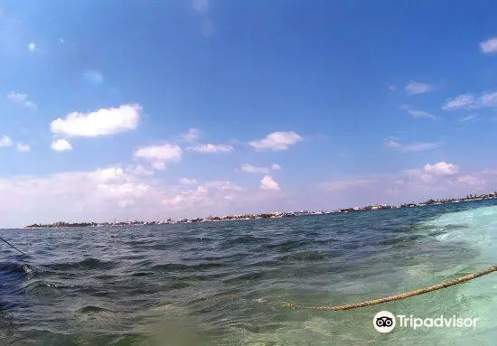 Tulum Underwater