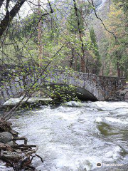 Pohono Bridge