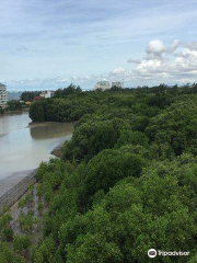 Sky View Tower and Mangrove Research Center