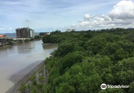 Sky View Tower and Mangrove Research Center