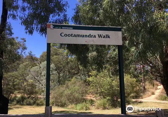 Cootamundra Walk