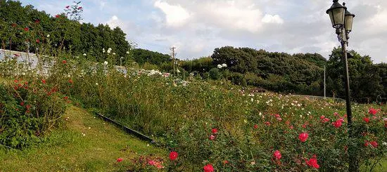 Shimada City Rose Hill Park