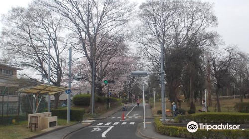 ユーカリ交通公園