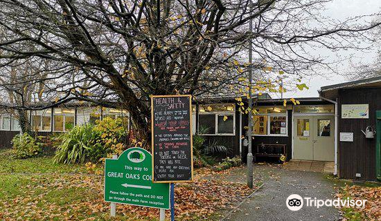 Oasis Down to Earth Farm