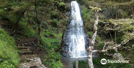 Goho Falls