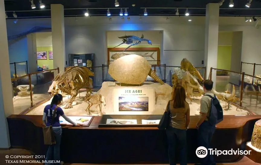 Texas Science & Natural History Museum