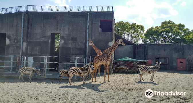 Miyazaki City Phoenix Zoo