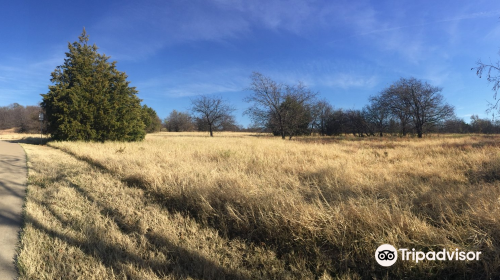 Arbor Hills Nature Preserve