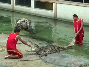 Samut Prakan Crocodile Farm and Zoo