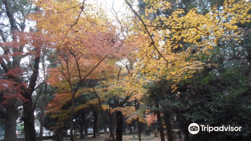 さいたま水上公園