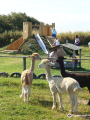 Filey Bird Garden and Animal Park