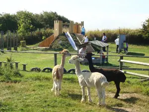 Filey Bird Garden and Animal Park