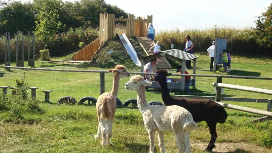 Filey Bird Garden and Animal Park