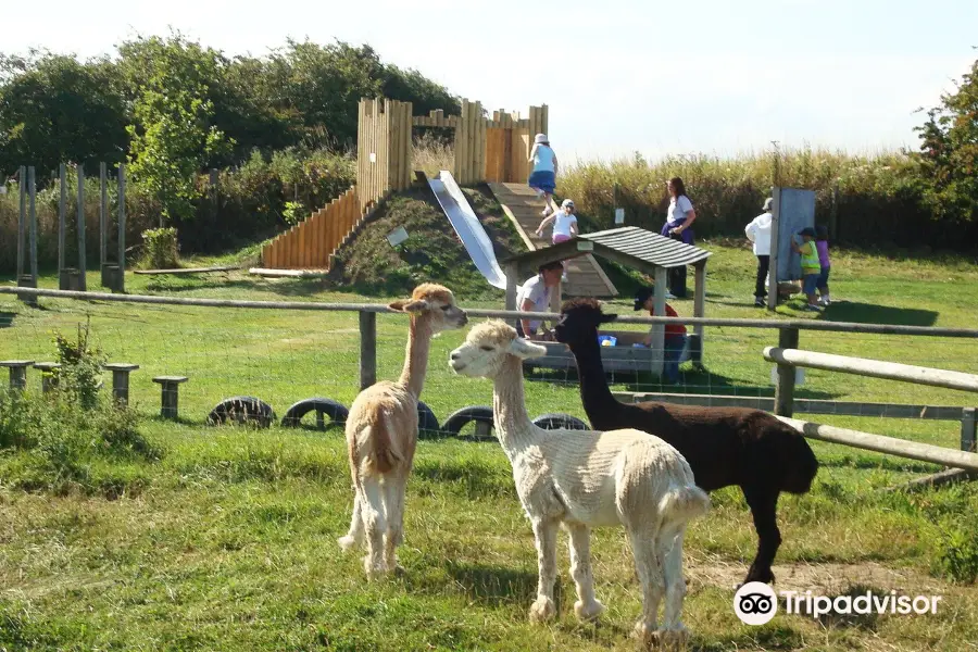 Filey Bird Garden and Animal Park