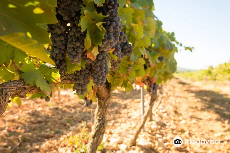 Domaine de Grangeneuve