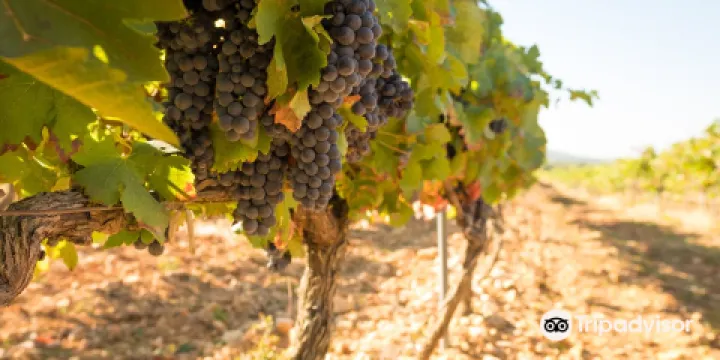 Domaine de Grangeneuve