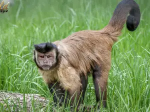 Oradea Zoo