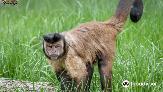 Oradea Zoo