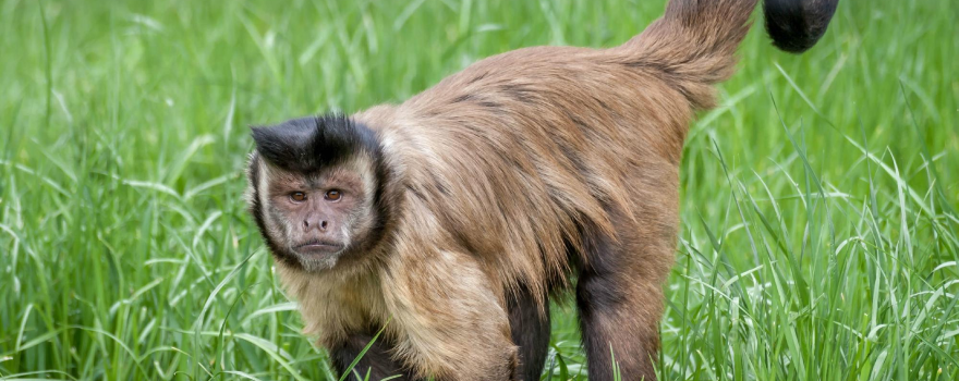 Oradea Zoo
