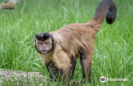 Oradea Zoo