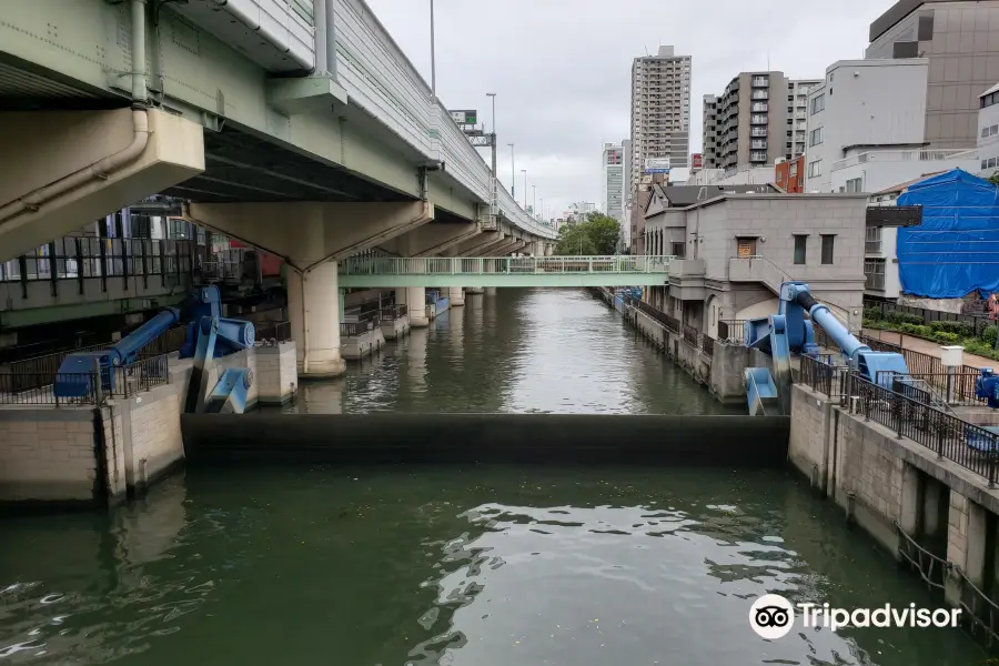 Higashiyokobori River