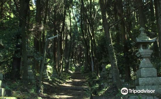 日本福岡+別府地獄+湯布院花卉村+海地獄+湯之坪街道+由布院温泉+金鱗湖一日遊