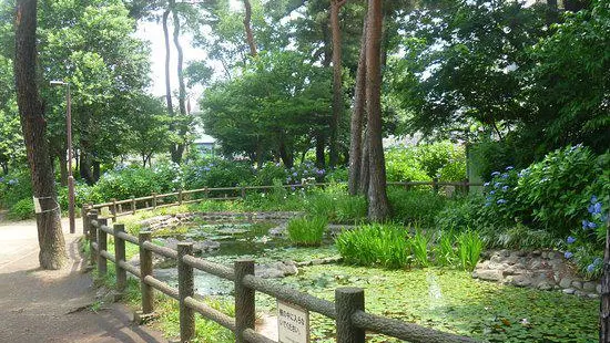 Ajisai Park