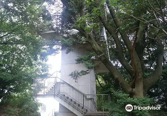 Observation Deck in Heiwa Minami Ryokuchi Preservation Area