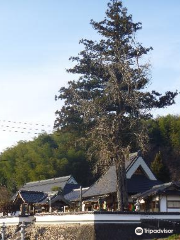 Koryuji Temple