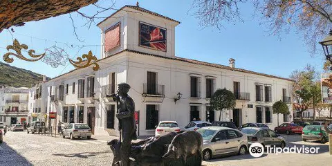 Museo del Jamon