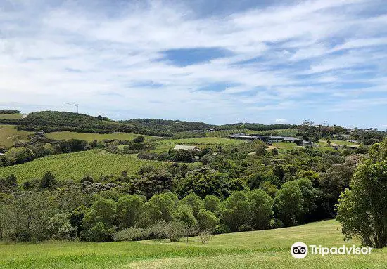 Waiheke Bike Hire