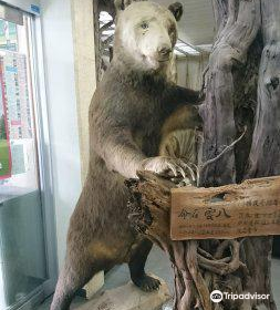 Yakumocho Carved Wooden Bears Museum