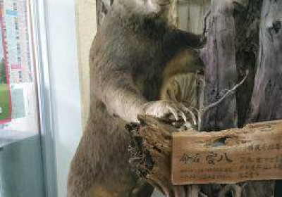 Yakumocho Carved Wooden Bears Museum