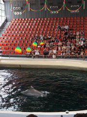 Dolphinarium Varna