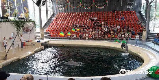 Dolphinarium Varna