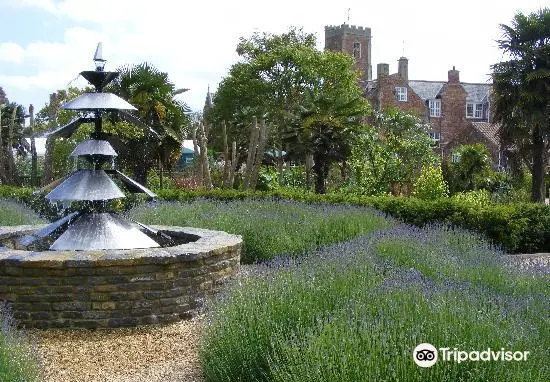 The Walled Gardens of Cannington Tea Room